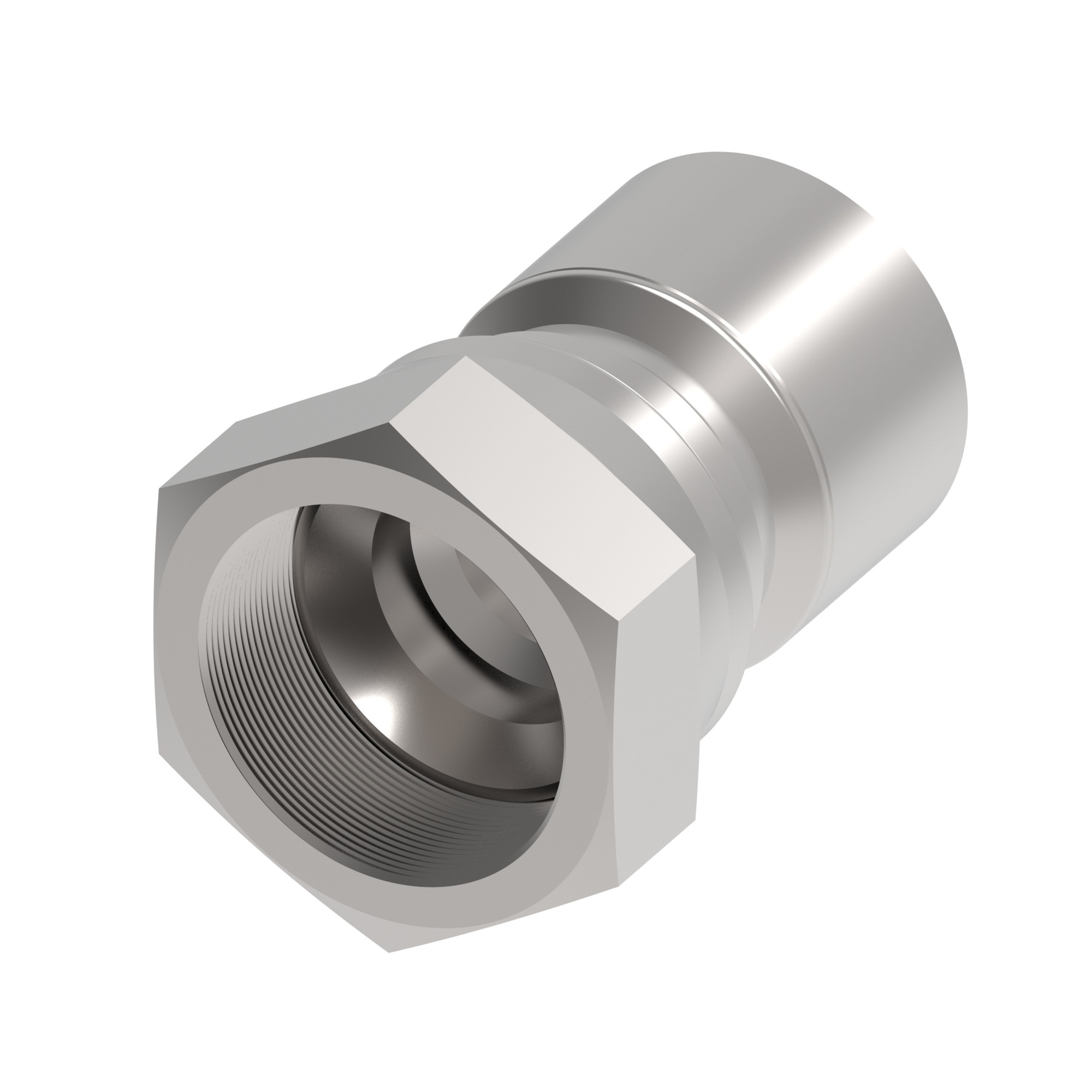 HOSE FTG, 1G/24, JIC-F/24, CS, STR