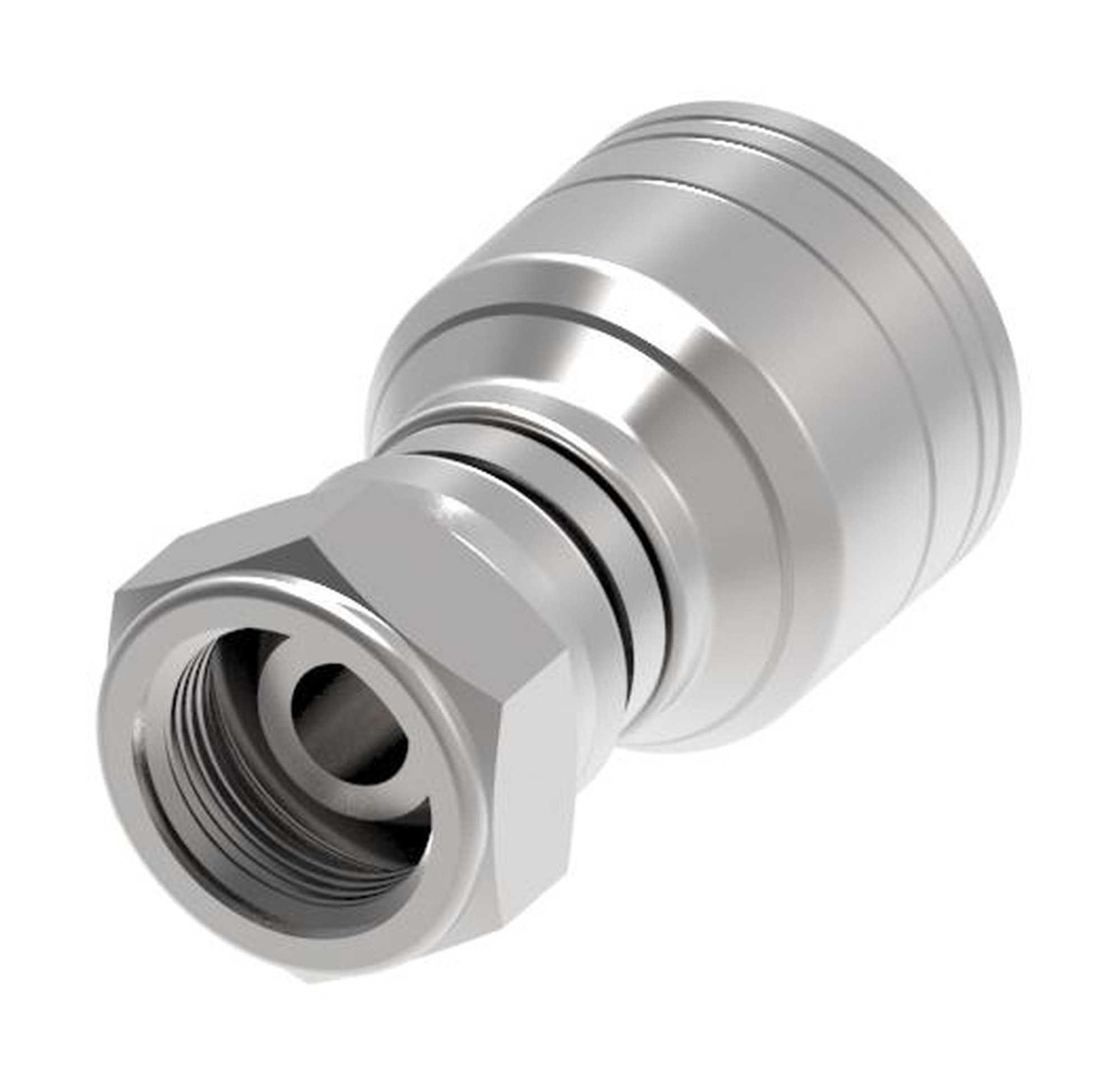 HOSE FTG, 1A/24, BF/24, CS, STR