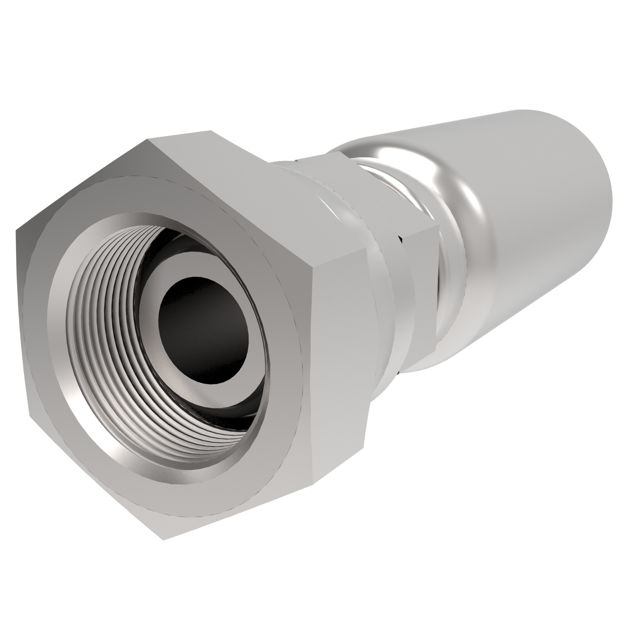 HOSE FTG,SW/08,BSP-F/08,CS,STR
