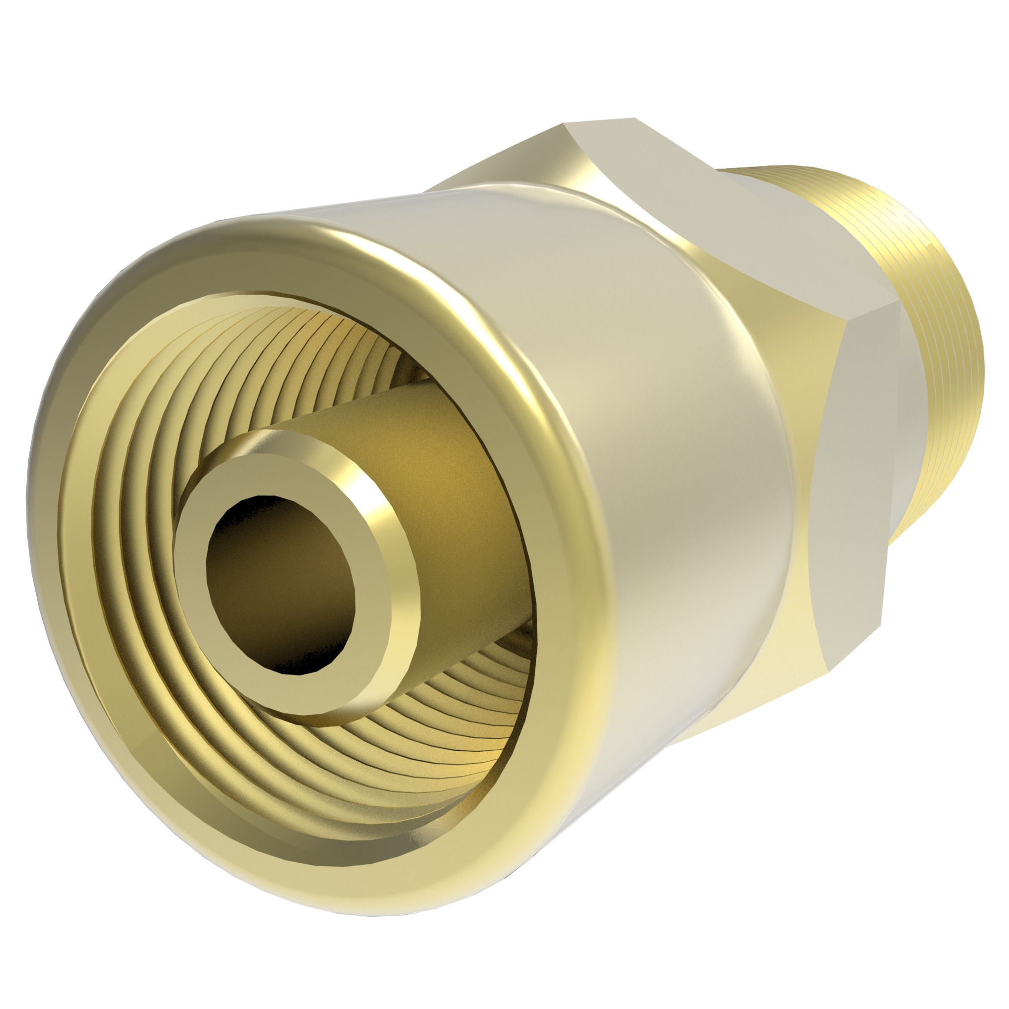 HOSE NIPPLE ASSY,2P/03,NPTF-M/02,BL,STR