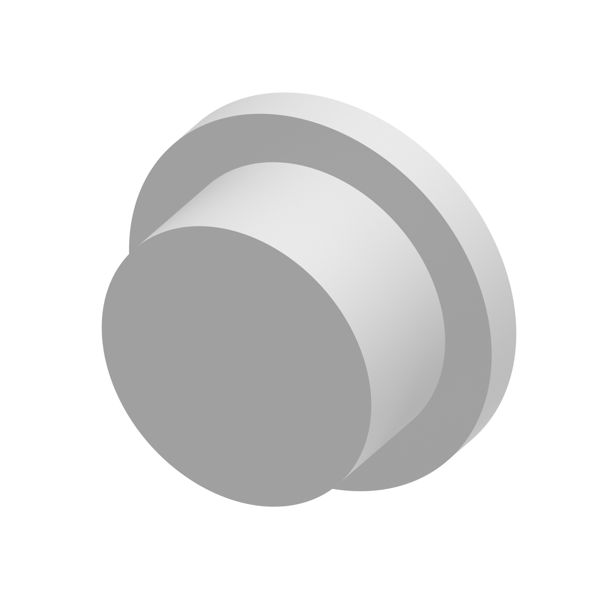1/4IN BSP THREAD PROTECTORS