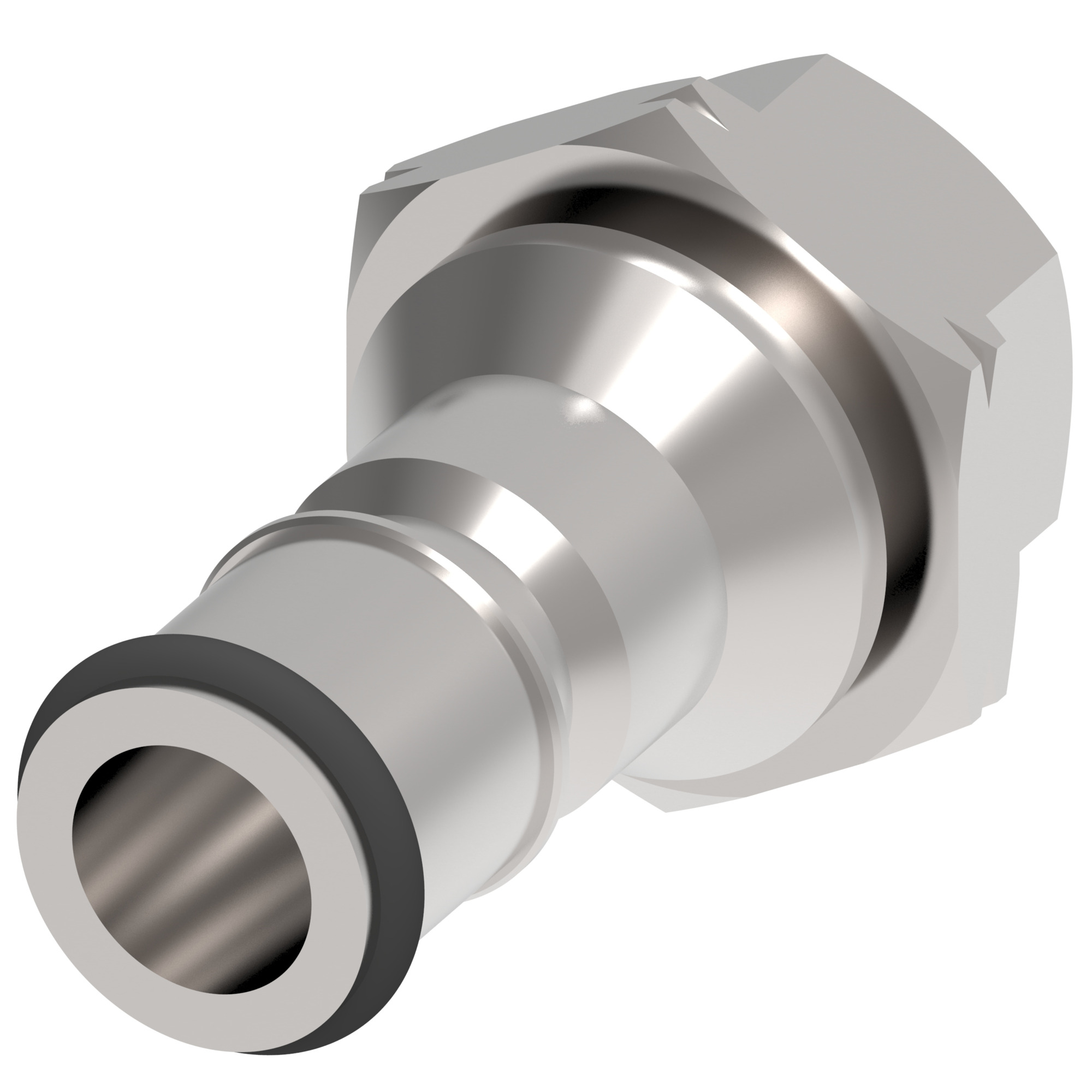 COUPLING,2HKIG,M,1/4,SS,-10NPTF,NBR