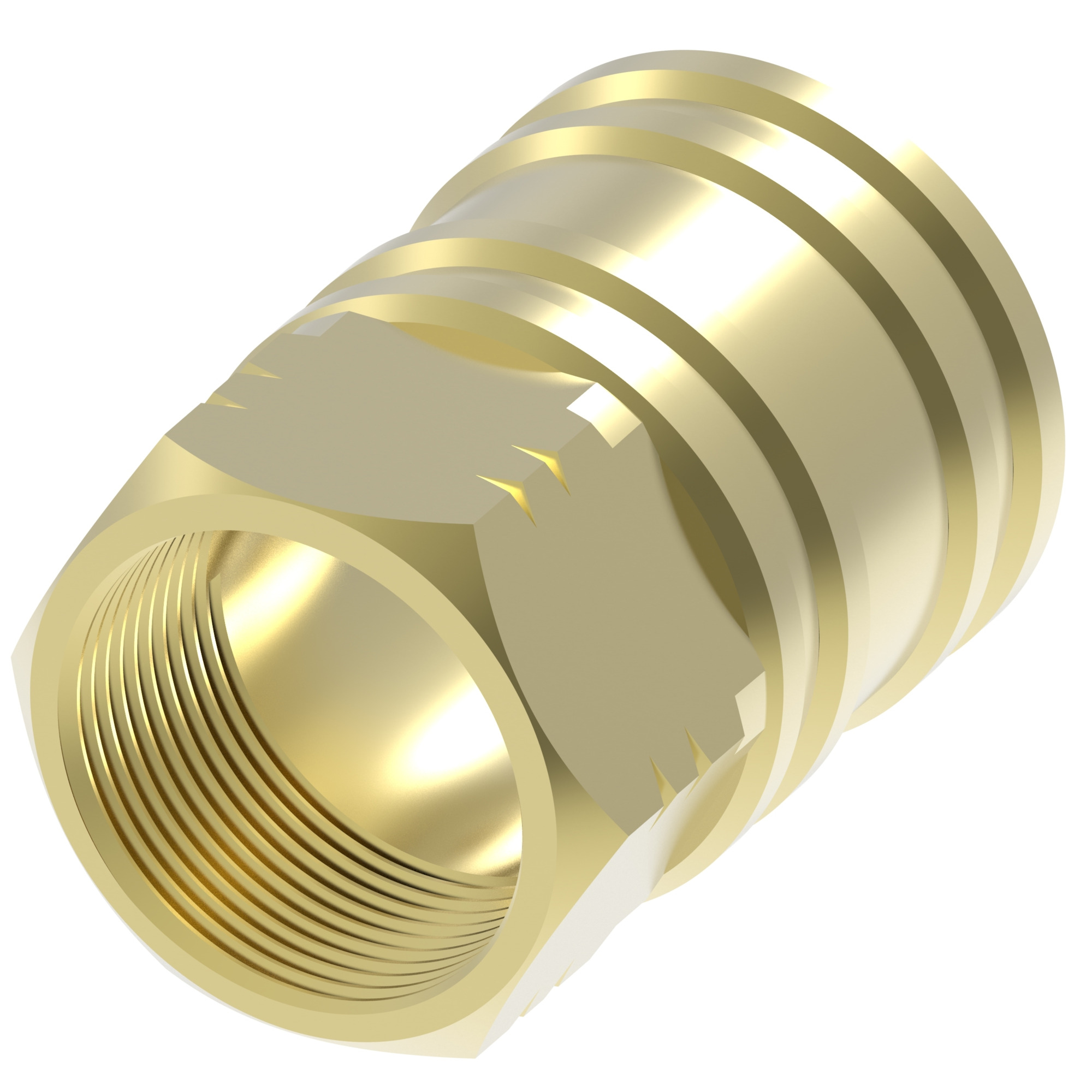 COUPLING,ST,F,2",B,-32MBS,NBR