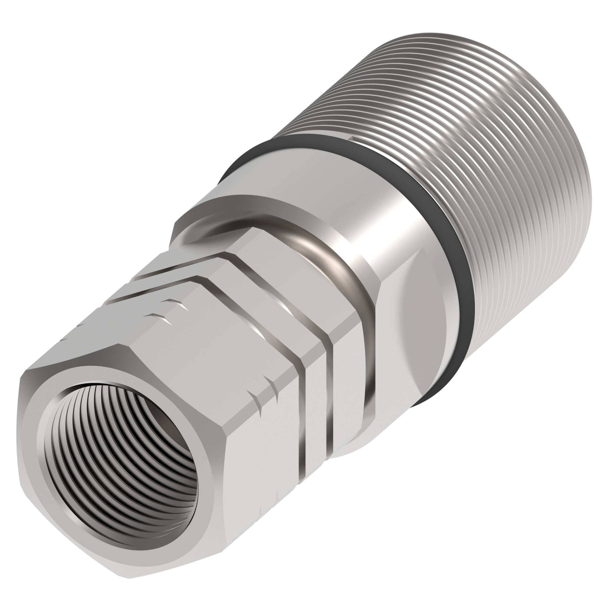 COUPLING,W36000,F,3/4,CS,-12NPT,NBR