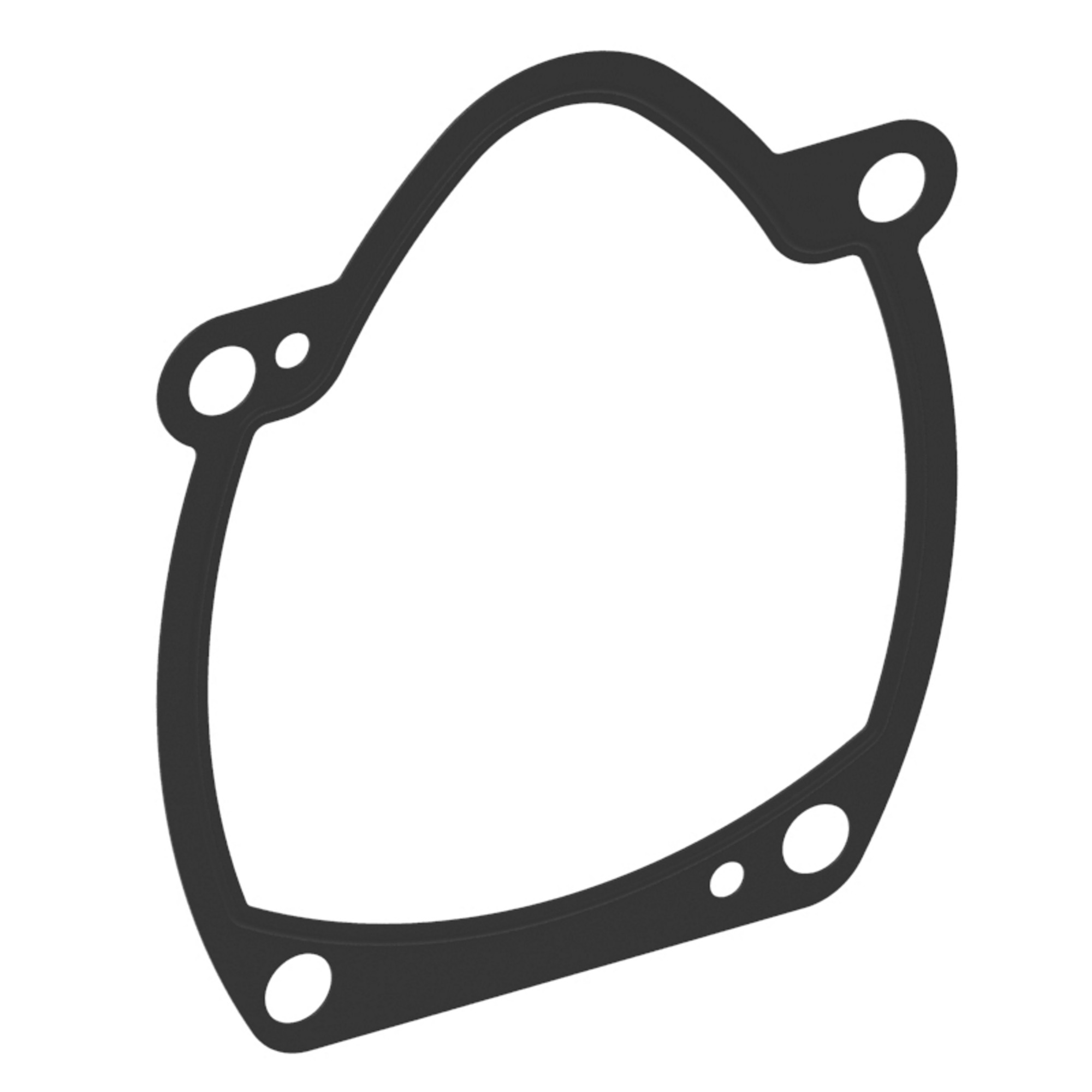 Gasket, Flange - PVM45