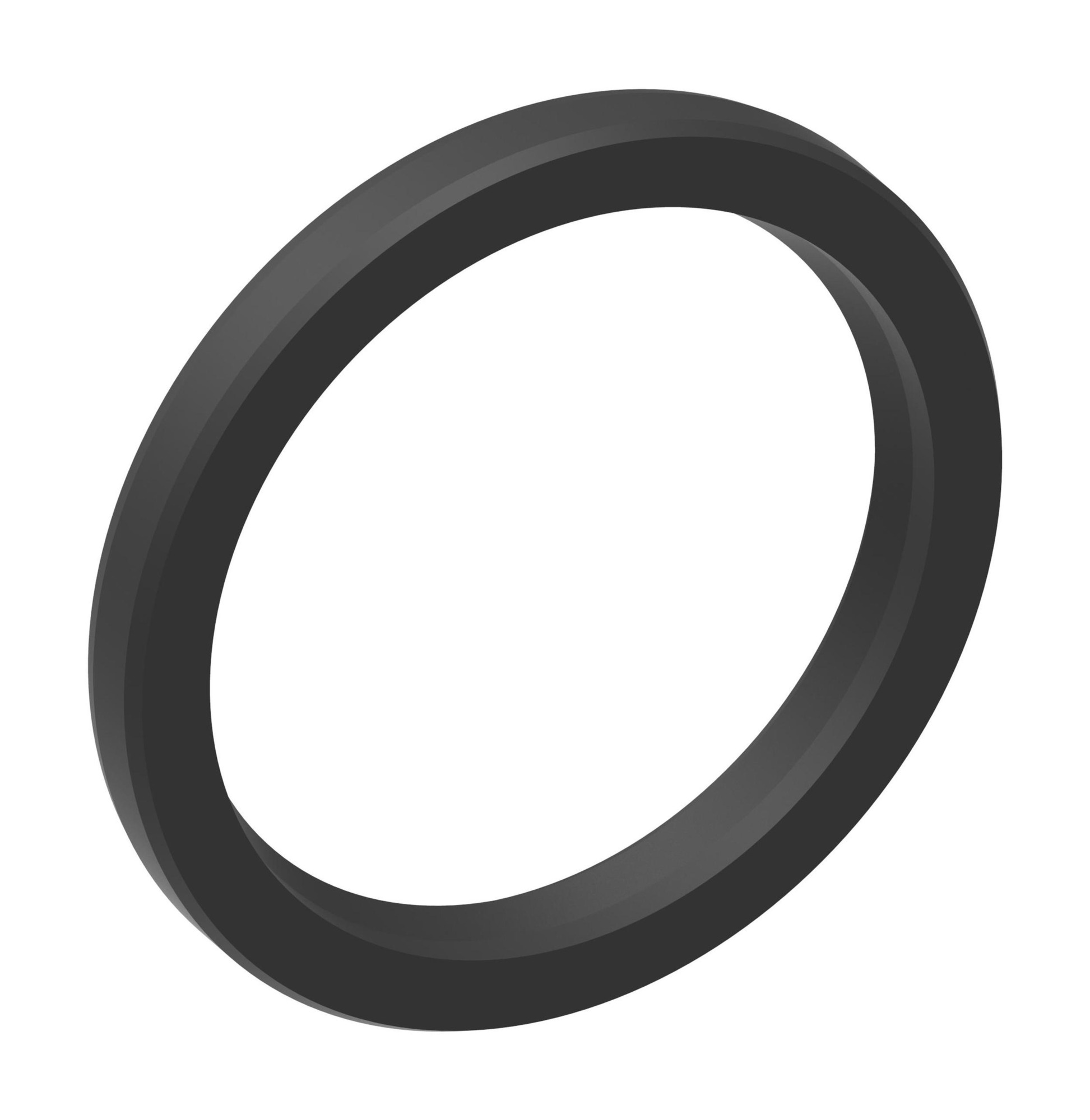 SEAL DUST