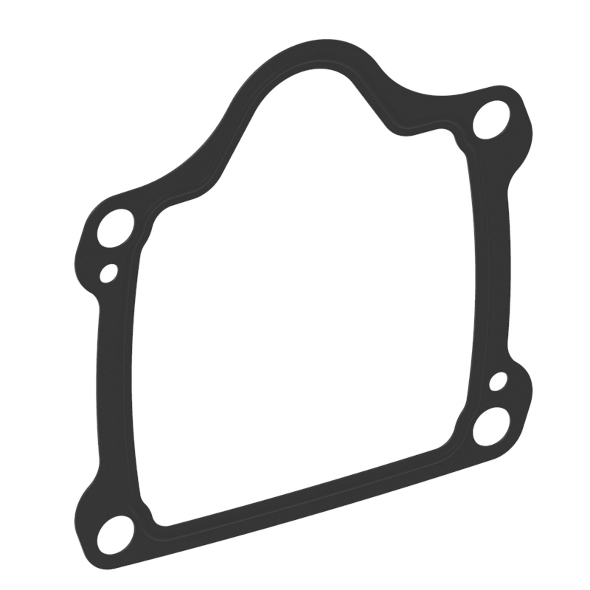 Gasket, Flange -PVM18/20