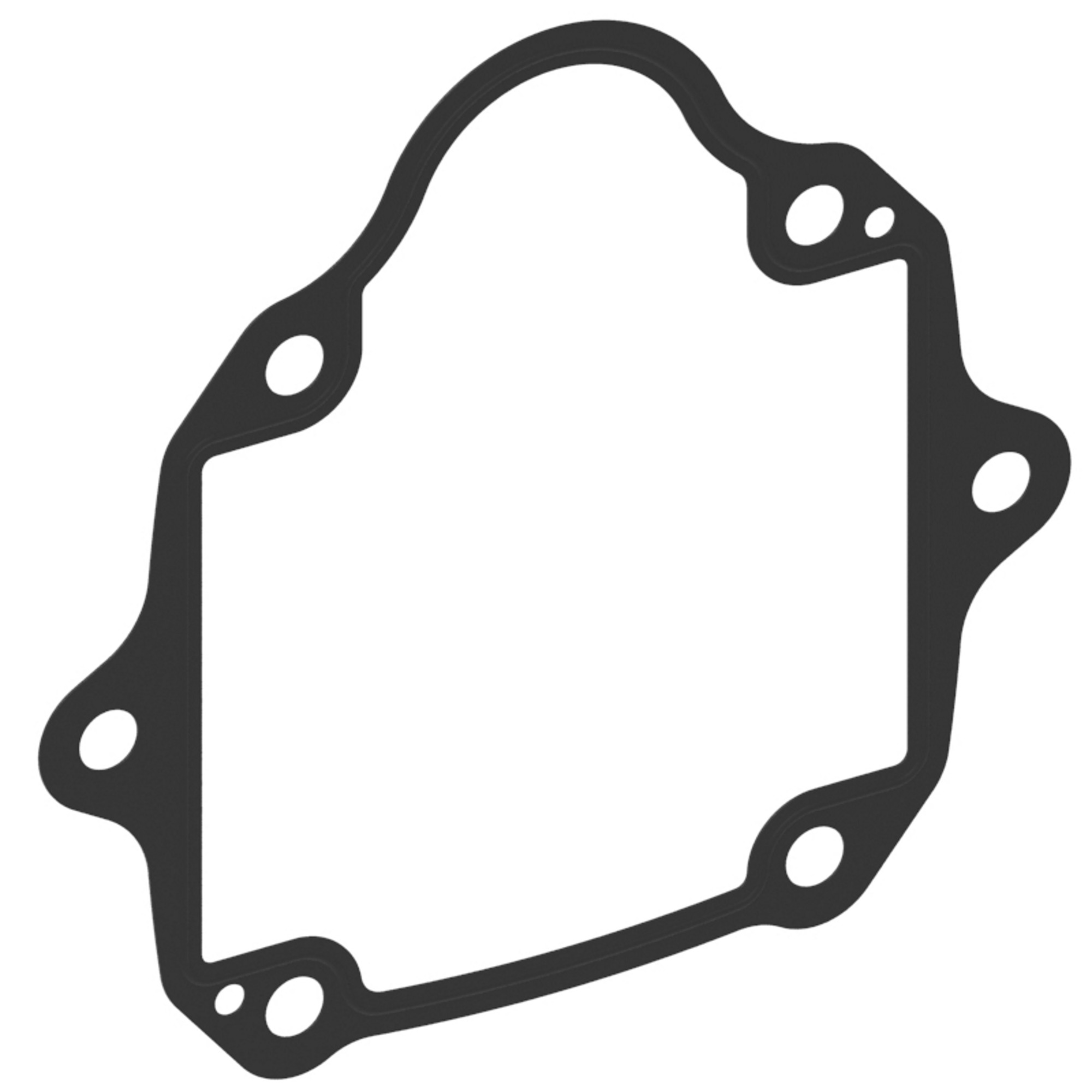 Gasket, Flange - PVM98